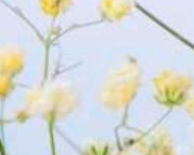 醇香甜美（一段故事）