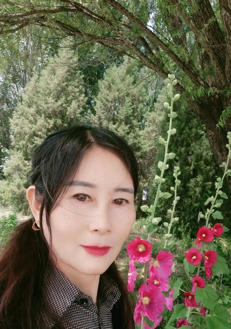 《伴我同行》（一个永不孤独的陪伴）