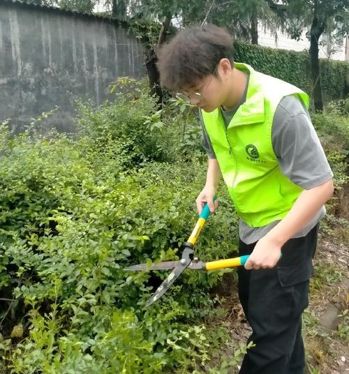 一把铁锤的力量——小镇环保志愿者的故事（一场惊险的火灾、他们的故事、爱与拯救）