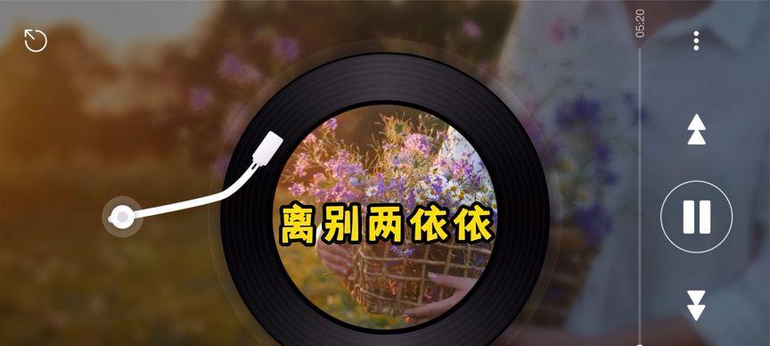 两个人，一份情，一场别离（两个人，一份情，一场别离）