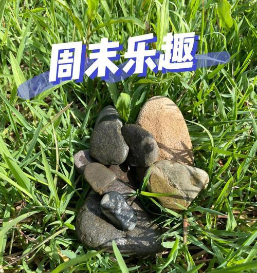 我的乐趣人生
