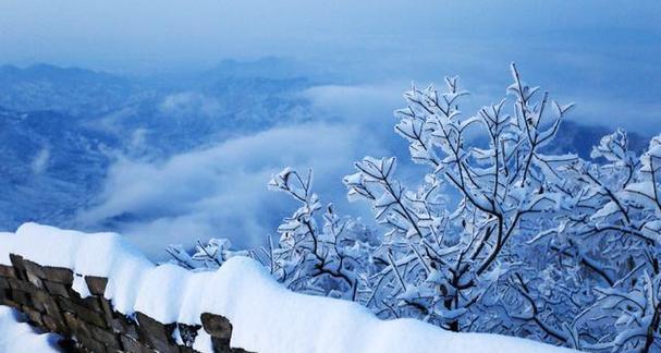 白雪飞扬的冬日故事（只因一片纸鹤）