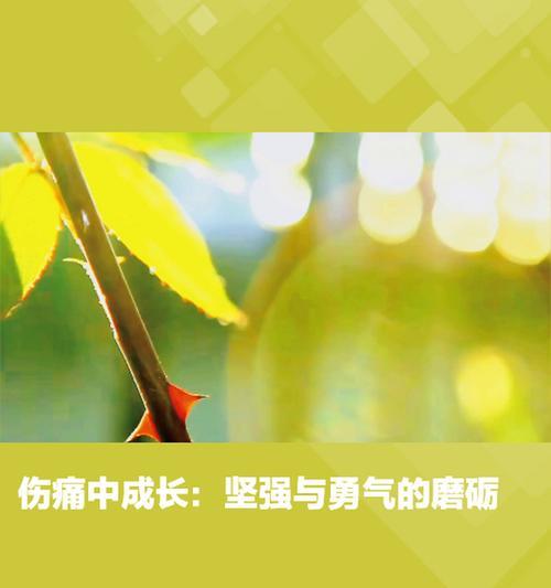 一个女孩的奋斗之路（一个女孩的奋斗之路）
