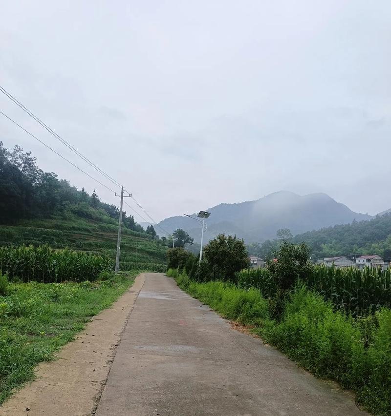 一段难以忘怀的回忆（一段难以忘怀的回忆）