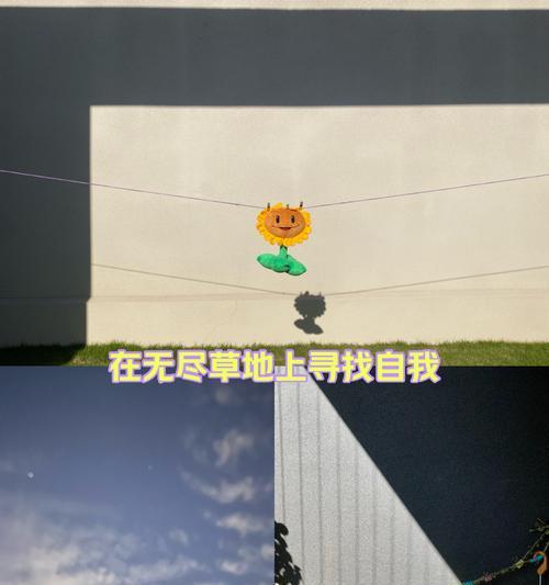 风筝翱翔，心也飞扬（一只小鸟的奇妙冒险）