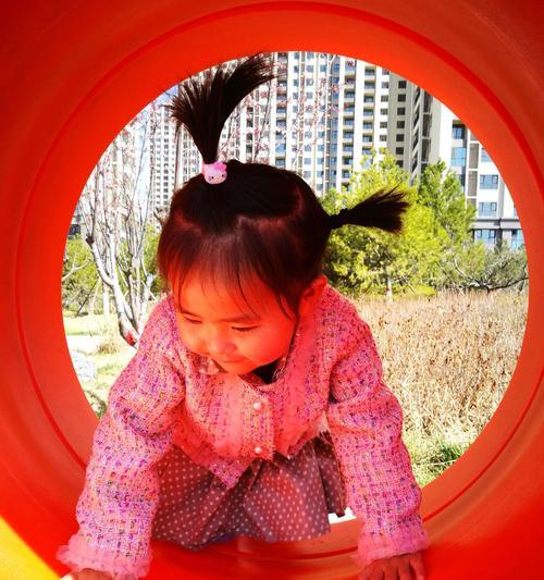 亲情永远馨香（家中博物馆里的父子情）