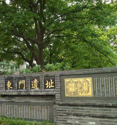 爱情中的花火（爱情中的花火）