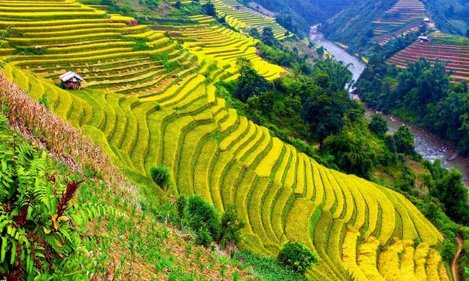 乡村美景难忘（纯朴乡村风景带给我的感动）