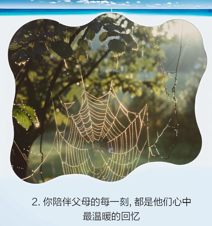 岁月温暖的陪伴（一段关于爱与陪伴的故事）