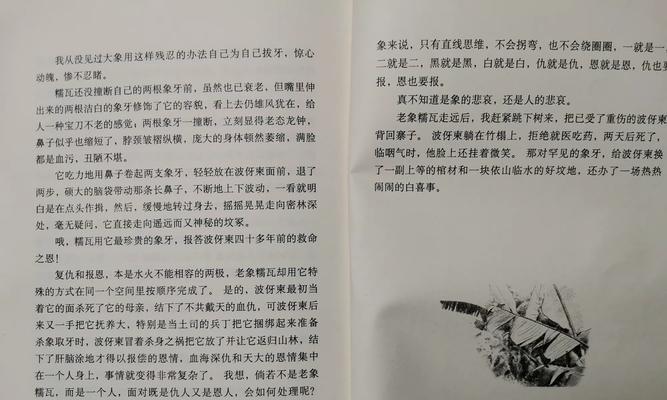 《一路书香，品味人生》（走进书中世界，寻找生命之光）