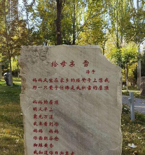 难以忘怀的失望（当你的付出被背叛，你会感受到什么？）