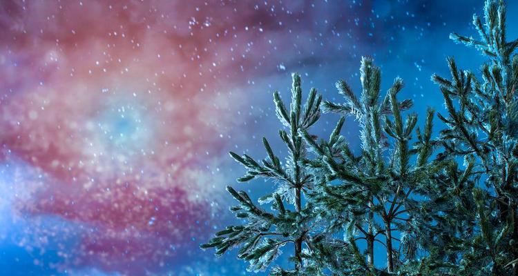 雪落夜空