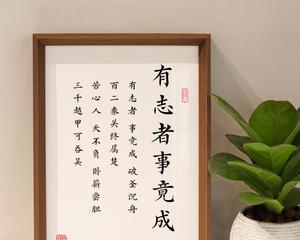 寻求自由的女孩（有志者事竟成）