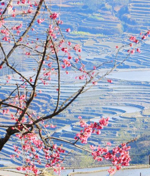 四季美好，恒久不变（一个人的四季故事）