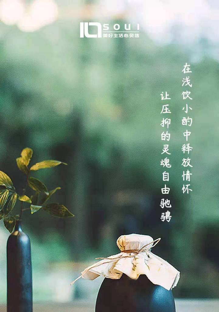 自由之魂（追逐自由的故事）