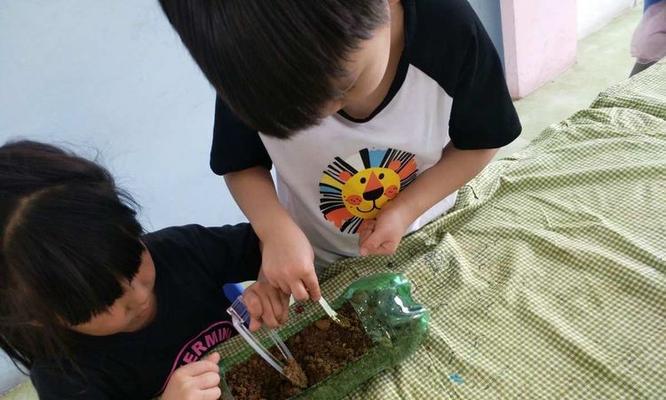 探索的意义（一个少年的冒险之旅）