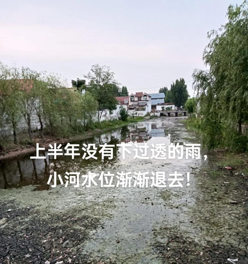 一她的身影