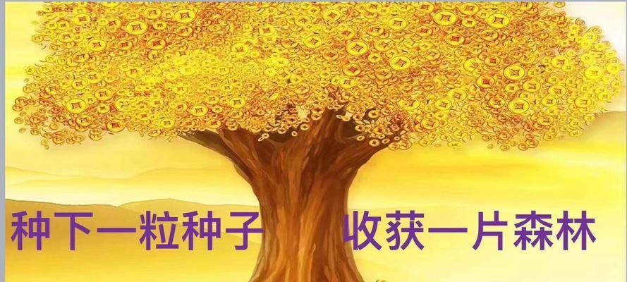 一粒种子的故事（从小到大的成长历程）