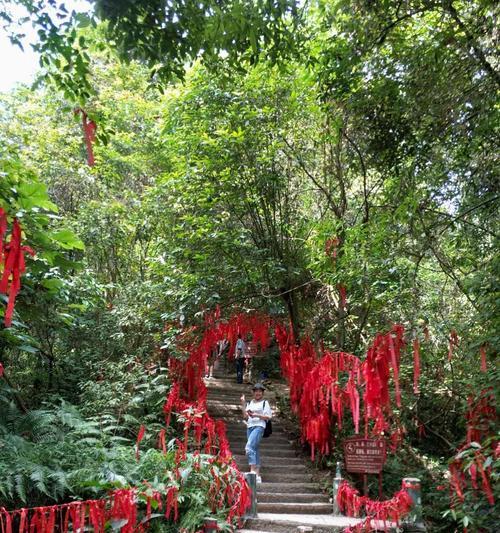 《时光轻轻绕指间》