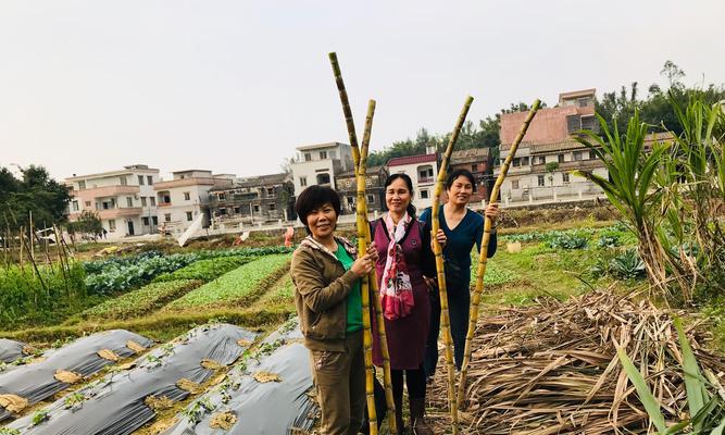 绽放心灵（美丽人生）