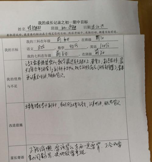 实现期中目标的奋斗之路（当勤奋遇见挑战，人生因此更加精彩）