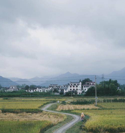 秋天的故乡味道：一个小镇的故事