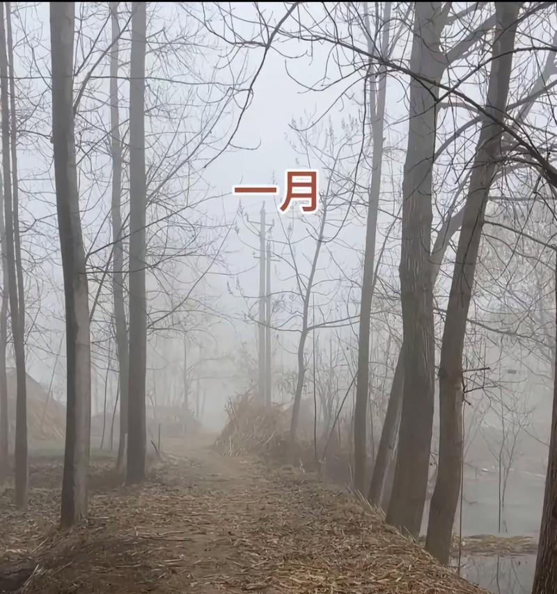 四季之乡