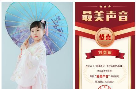 那抹柔美绝伦的声音（一个男人的回忆录）