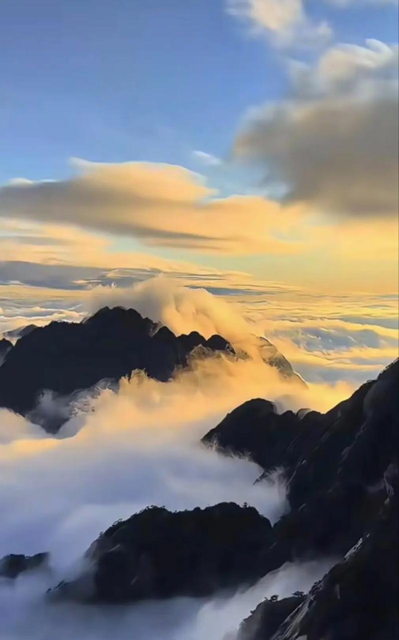 梦想使生命更加精彩（他的梦想改变了一生）