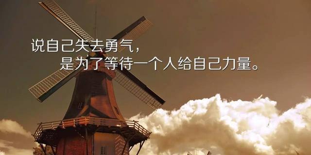 成功的顶峰（一个人物的成功经历）
