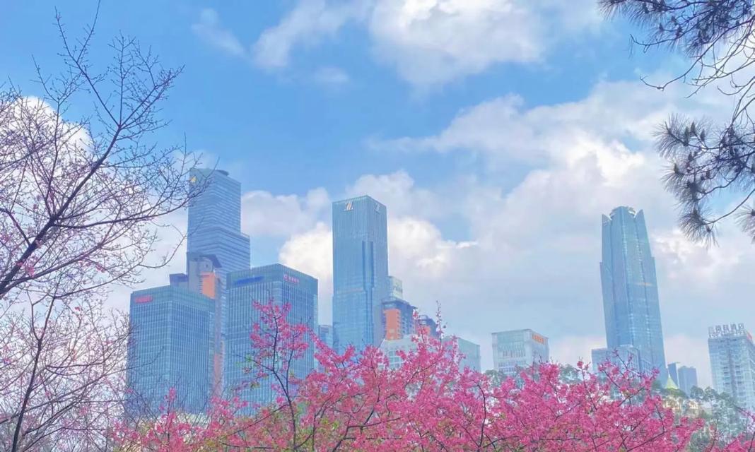 等待的时光，温暖的爱情（等待的时光，温暖的爱情）