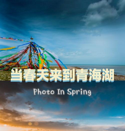 特别的春天回忆