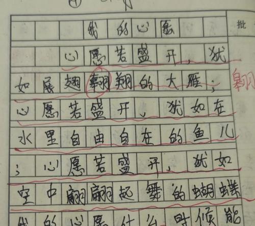 心愿的实现（一个人的奋斗）