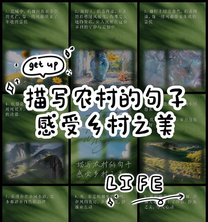 田野里的奇遇（一个人的探险之旅）