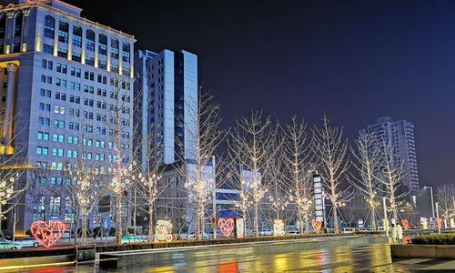 雪夜听心声（静夜思，漫步雪中，倾听心声）