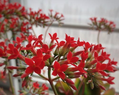 努力奋斗，砥砺前行（努力奋斗，砥砺前行）