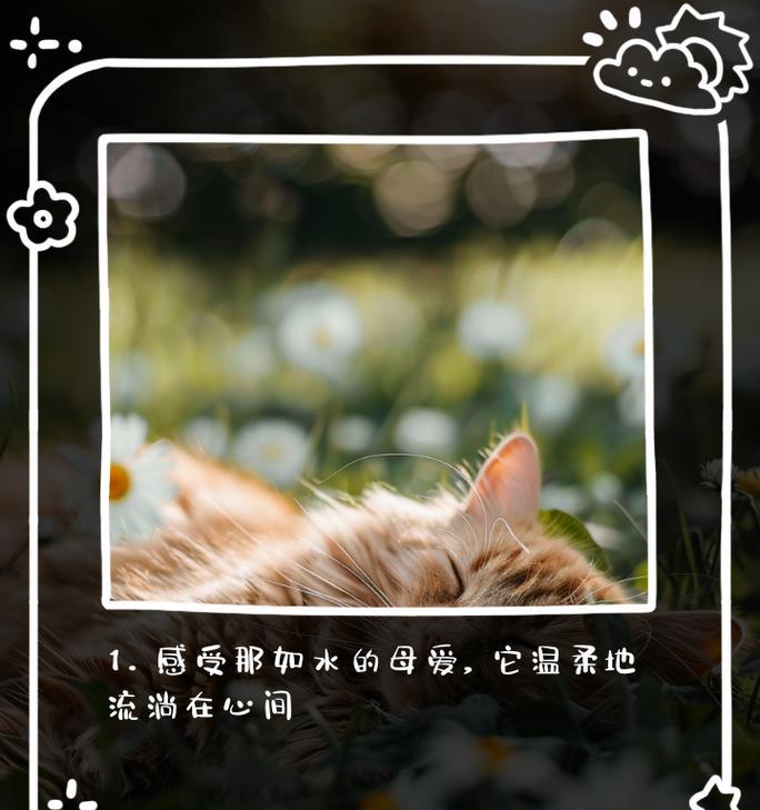 母爱如水（一个女孩和她的妈妈，用微笑渡过难关）