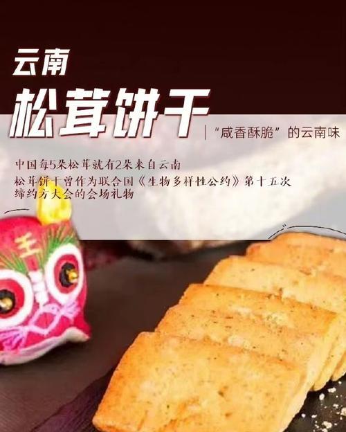 特产探寻记——追随味蕾的冒险（一道道美食，一部部故事）