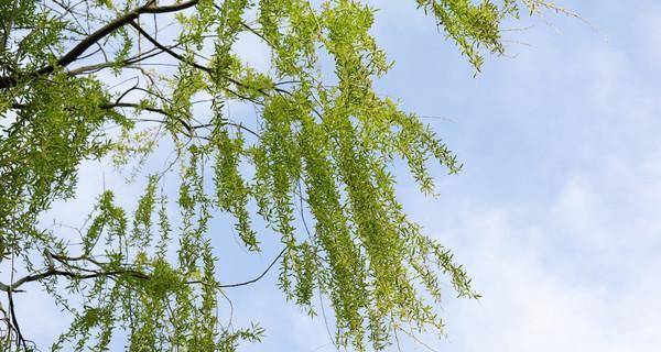 回味那份甘甜（一个人的成长故事）