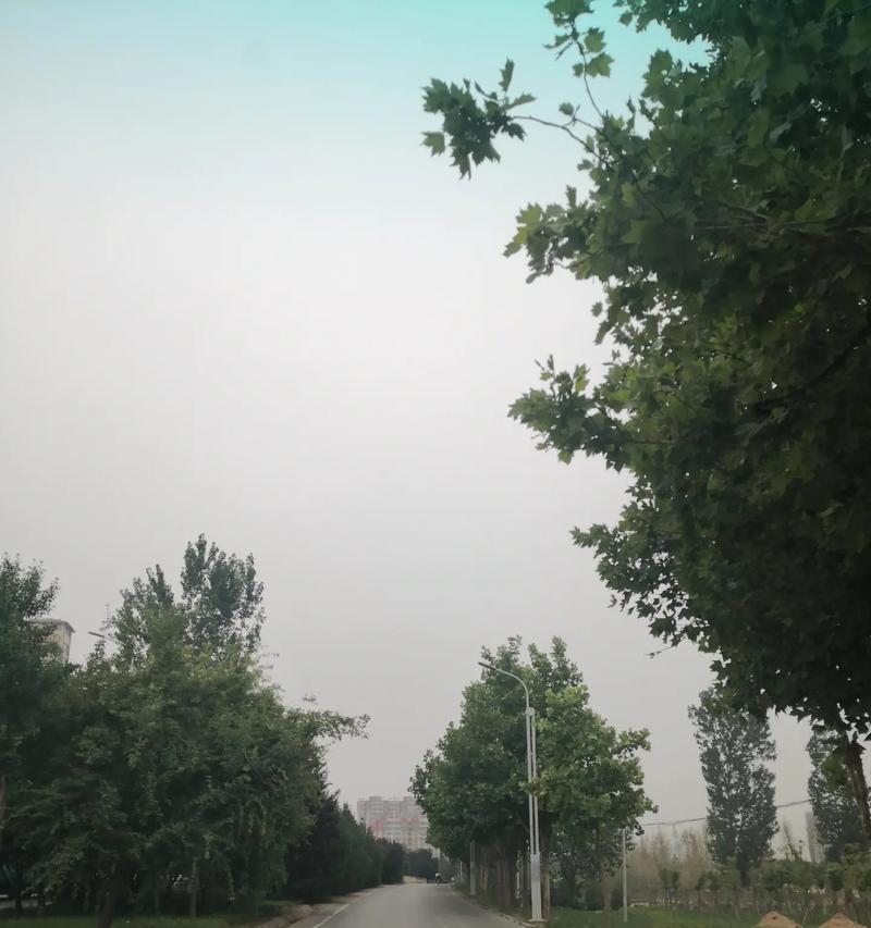祸福相依（悲喜交加的人生旅途）