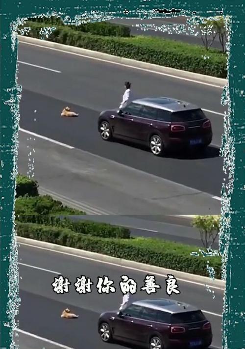 老爷爷的善良（感恩之心是人生的智慧）