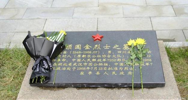 一束白菊花，怀念烈士（清明节给烈士扫墓的故事）