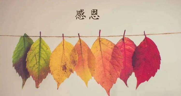 用真心陪伴，让孩子们快乐成长（用真心陪伴，让孩子们快乐成长）