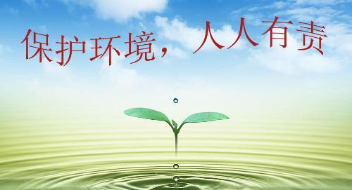 环保从我做起（一位小学生的环保故事）