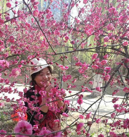 我爱美丽春天：橙花香气萦绕的春日故事