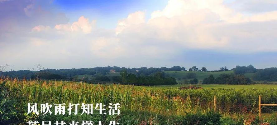 珍惜生活中每一个美好瞬间（珍惜生活中每一个美好瞬间）