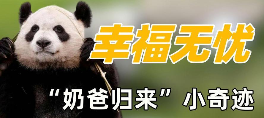 一家人的幸福快乐（爱与陪伴）