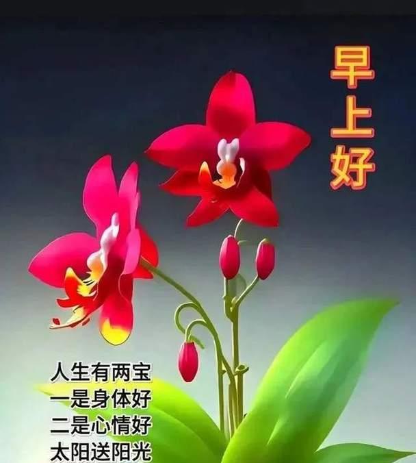 亲切的问候——温暖的力量（如何用一句话打动人心）