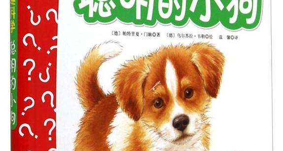 小狗莉莉的不凡经历（毅力支撑着我的生命）