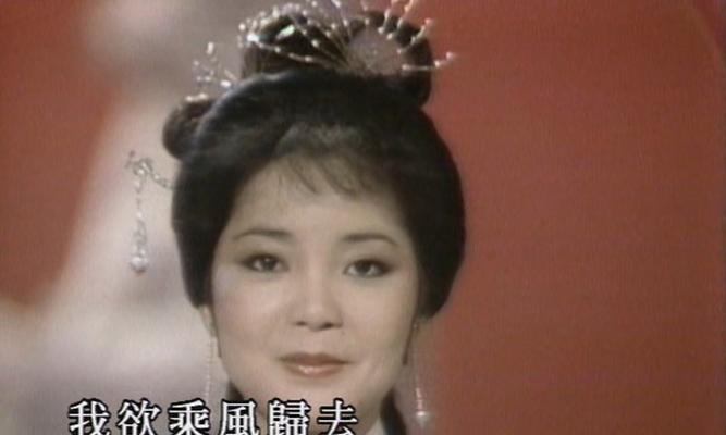 忘不掉你（但愿人长久）